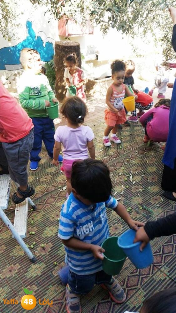 alkeram zatoon3 (5).jpg